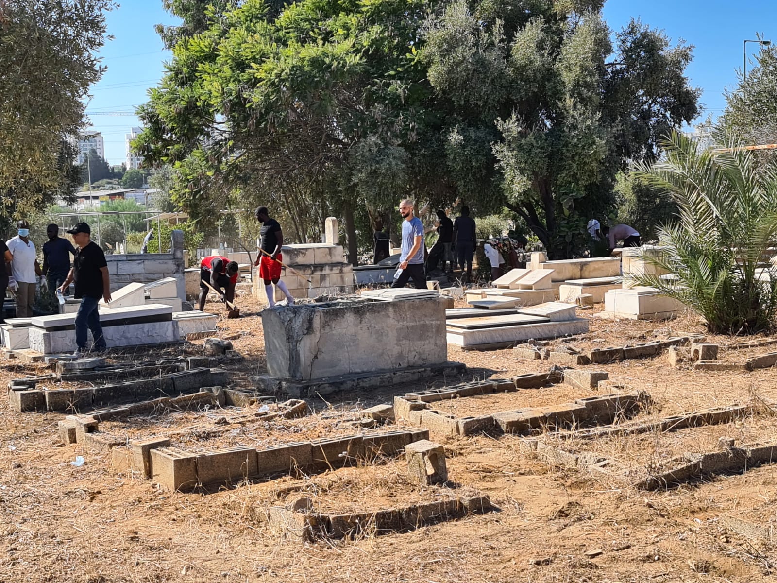 WhatsApp Image 2020-10-17 at 7.33.53 PM (1).jpeg.jpeg